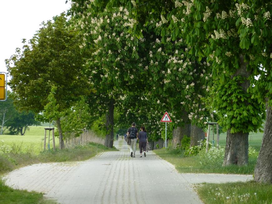 Müritzer Ferienwohnung