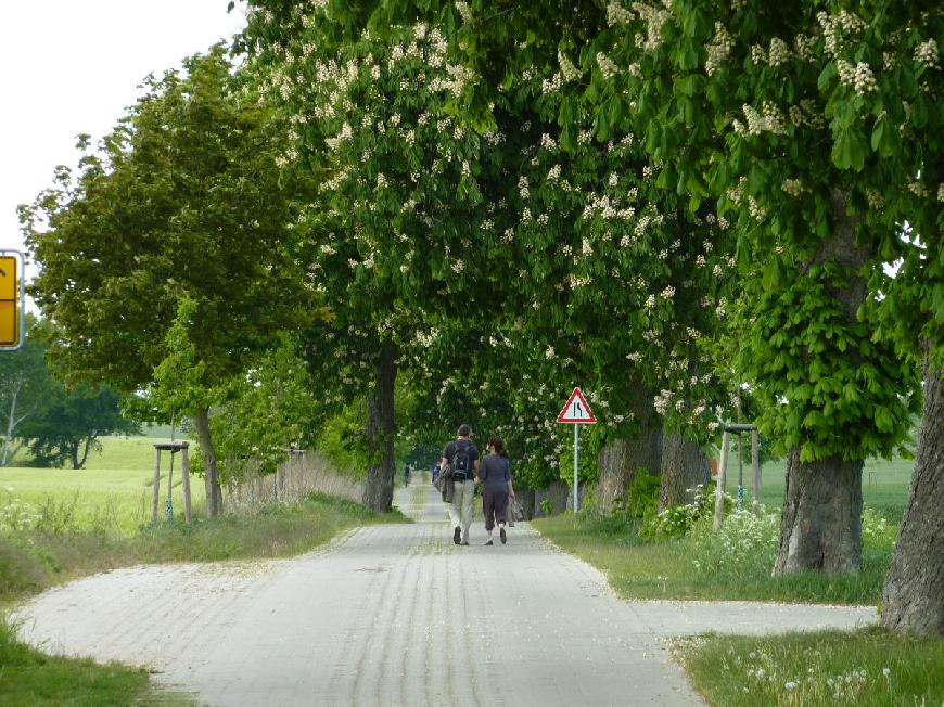 Ferienwohnung Müritzer II