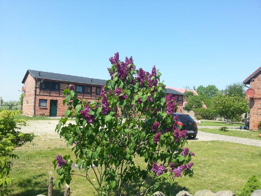 Ferienwohnung Landferienhof Müritzufer