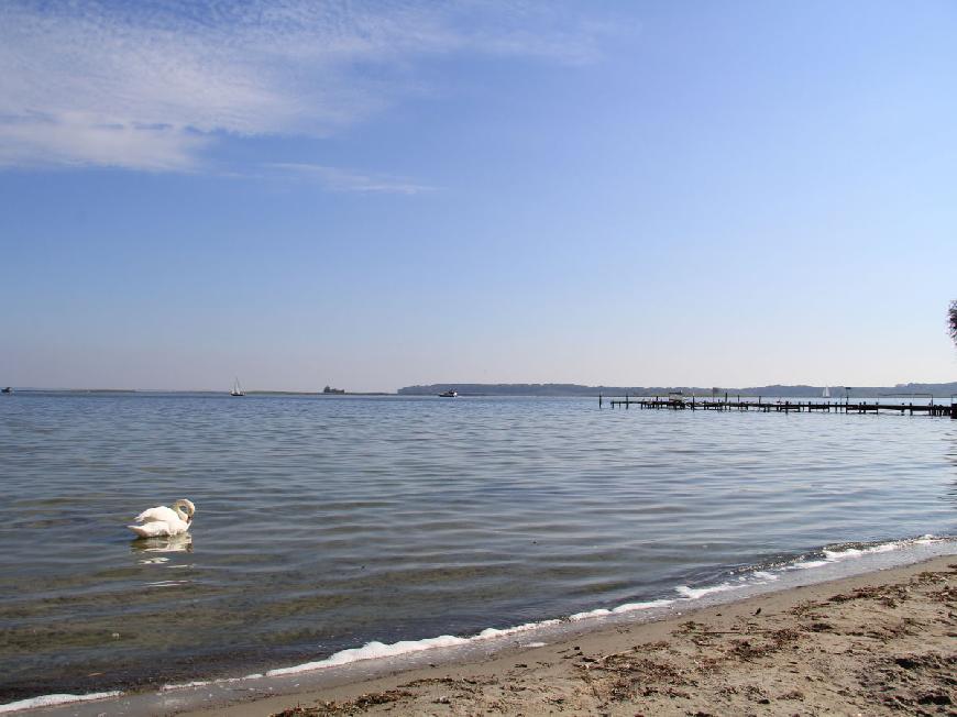 Ferienhaus Haus Seebad im Müritz-Seepark