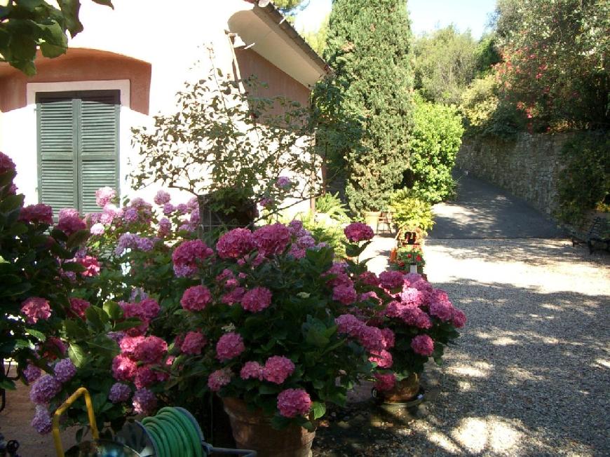 Ferienwohnung Hortensia