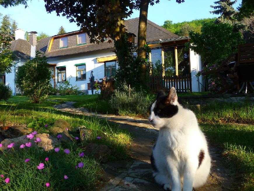 Ferienwohnung Gerlach in Purkersdorf im Wienerwald