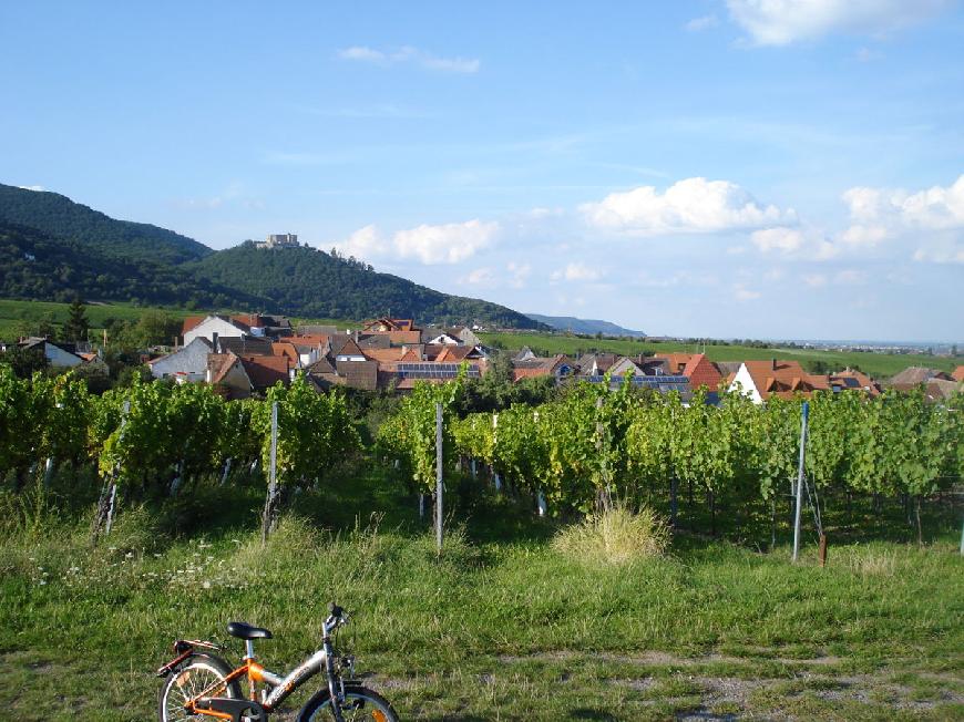 Ferienwohnung Weingut Alfred Schwaab