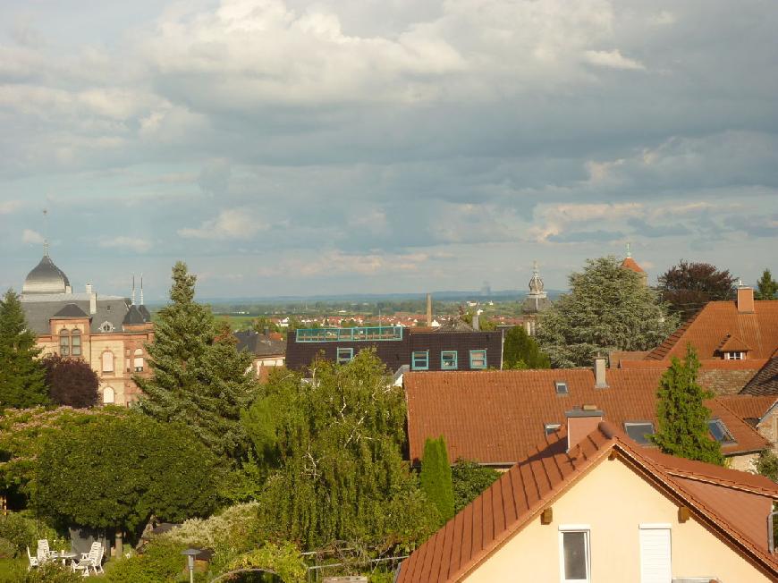 Ferienwohnung Weingut Herbert Ziegler "Eulbusch"