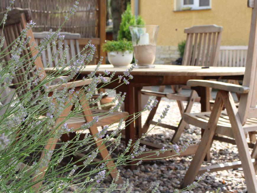 Ferienwohnung XL im Landhaus Rosmarin