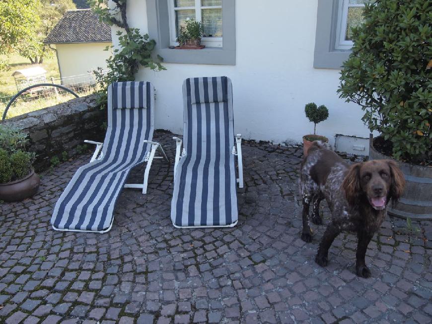 Ferienhaus Romantische alte Mühle-Haustier willkom