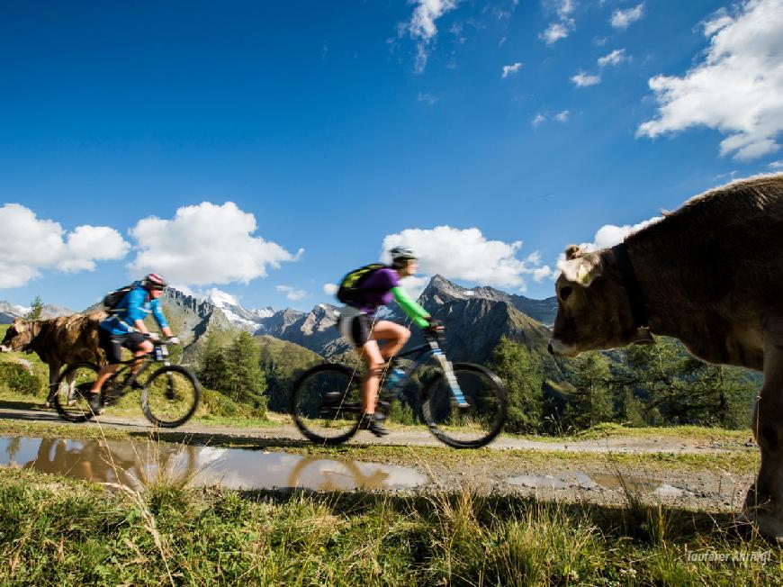 Ferienwohnung La vie Deluxe - KRONPLATZ