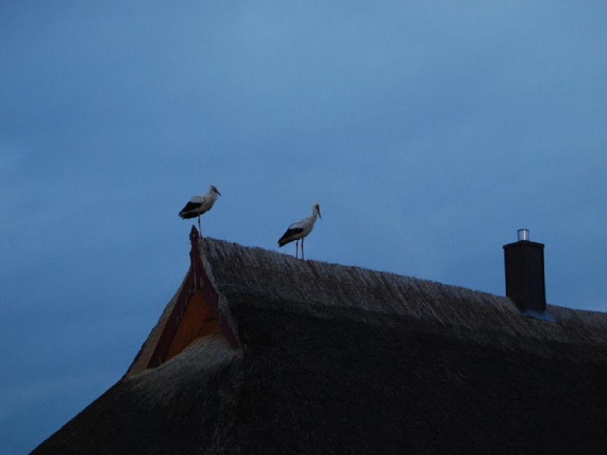 Ferienhaus 'Blaues Wunder'