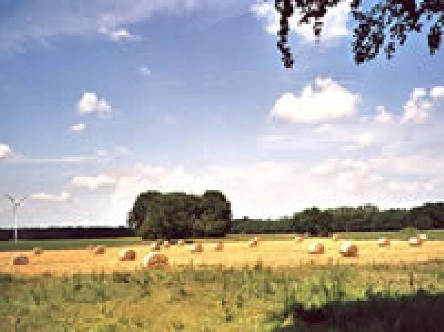 Ferienwohnung "Tanne" im Ferienhaus Coordes