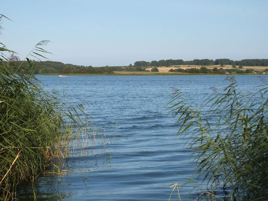 Ferienwohnung Usedom am Balmer See BS 23