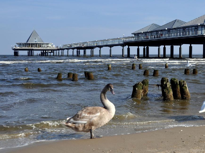 Ferienwohnung Usedom am Balmer See BS 23