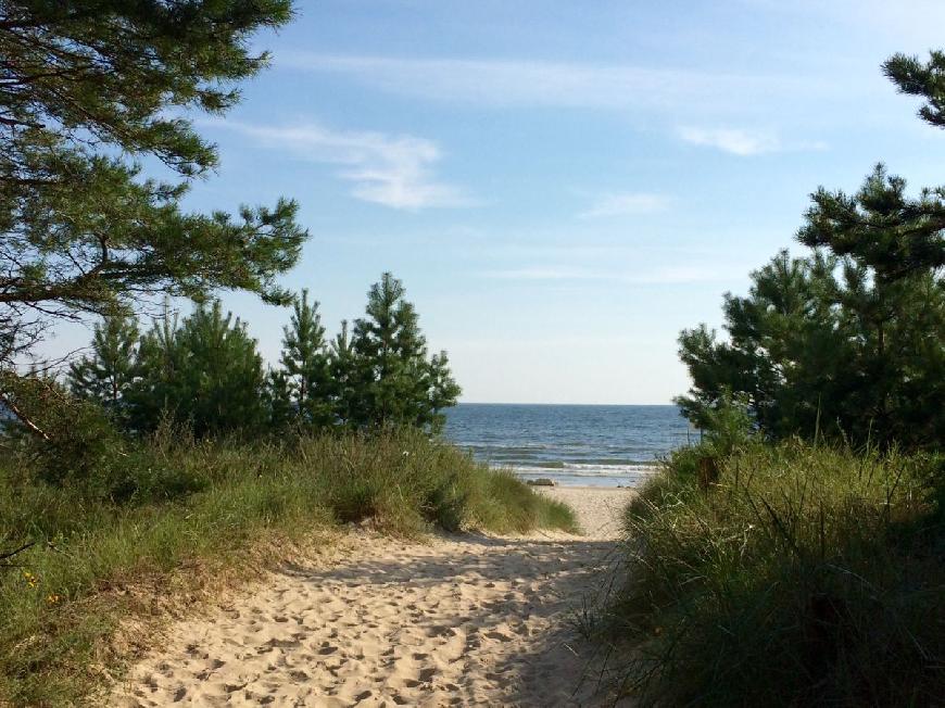 Ferienhaus Refugium auf Usedom