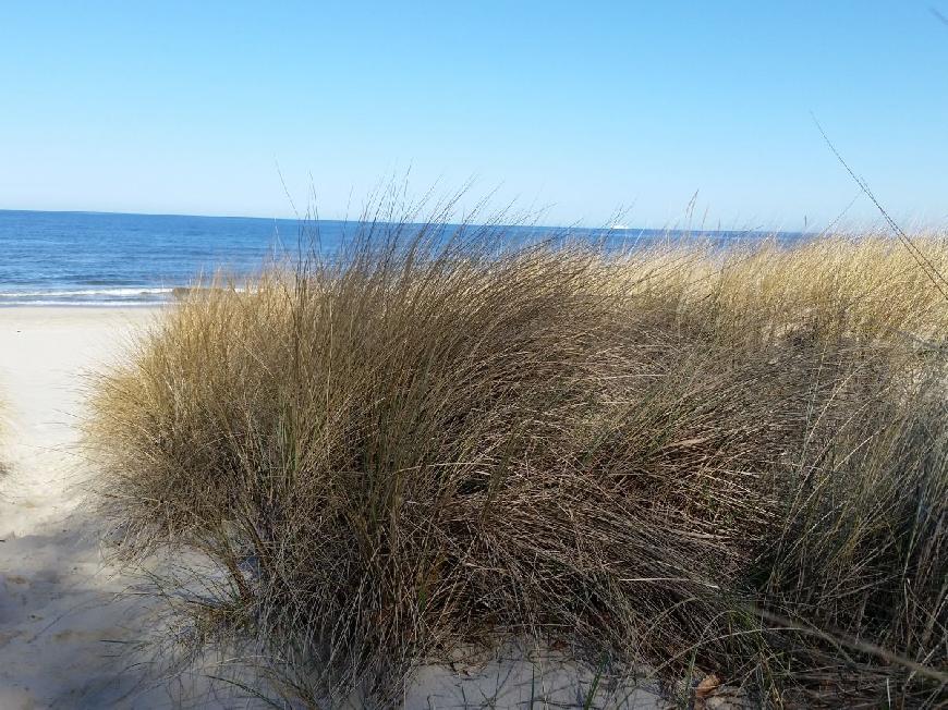 Ferienhaus  Achterwasserblick auf Usedom