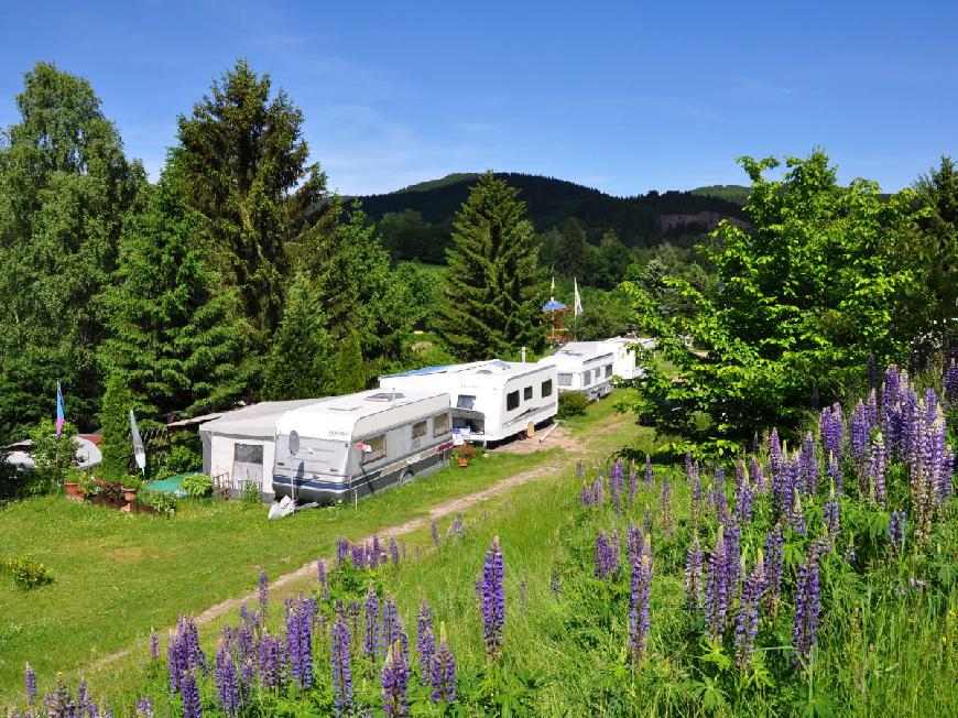 Bungalow Am Waldbad