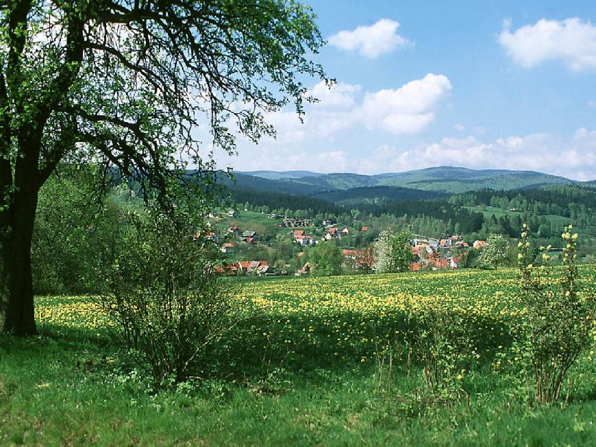 Bungalow Am Waldbad