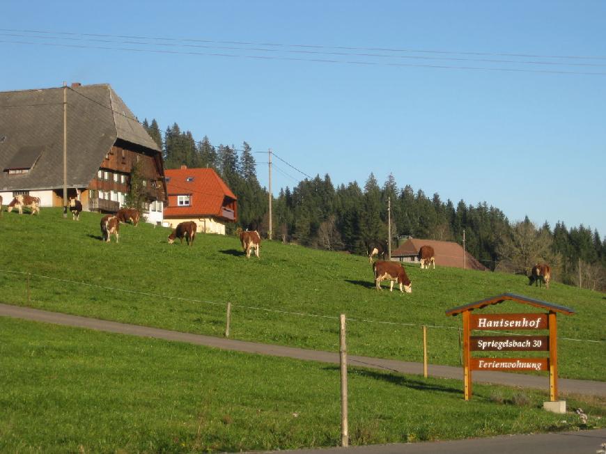 Ferienwohnung Hanisenhof