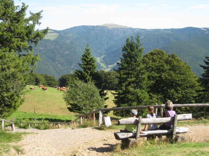 Ferienhaus Zipfelhanisenhäusle