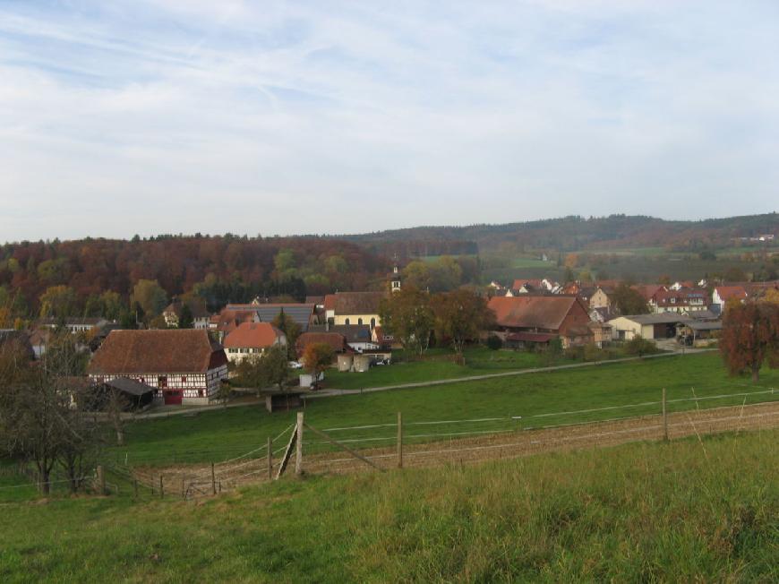 Ferienwohnung Nussbaum in  Überlingen