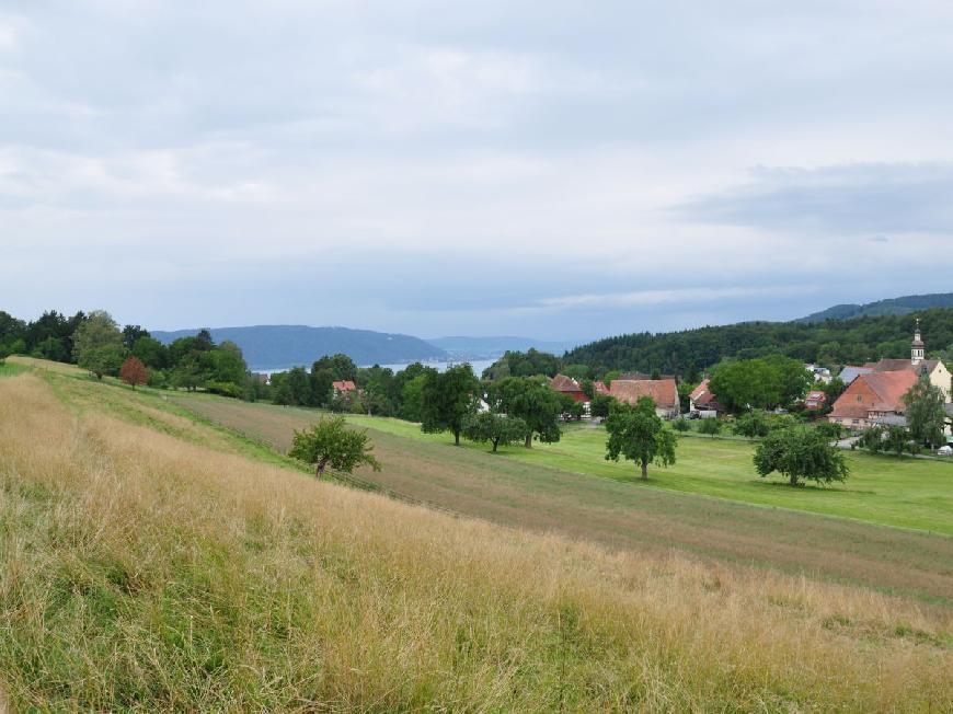 Ferienhaus Buche in Überlingen