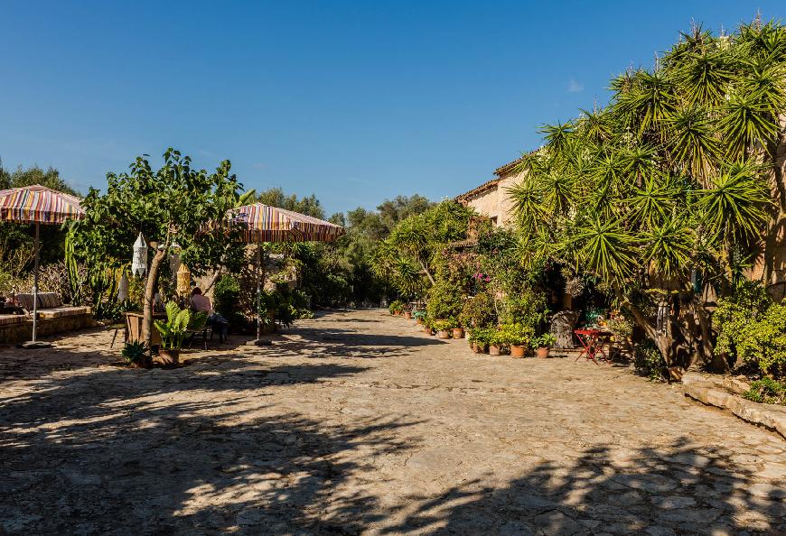 Orangenhaus auf der Finca Can Duvai auf Mallorca