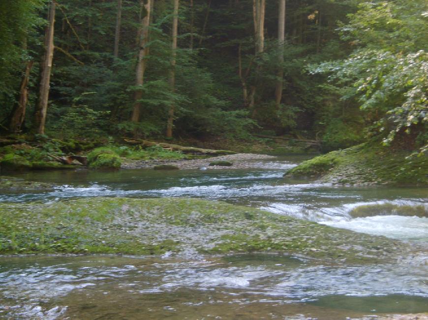 Ferienwohnung Schauss in Hergensweiler