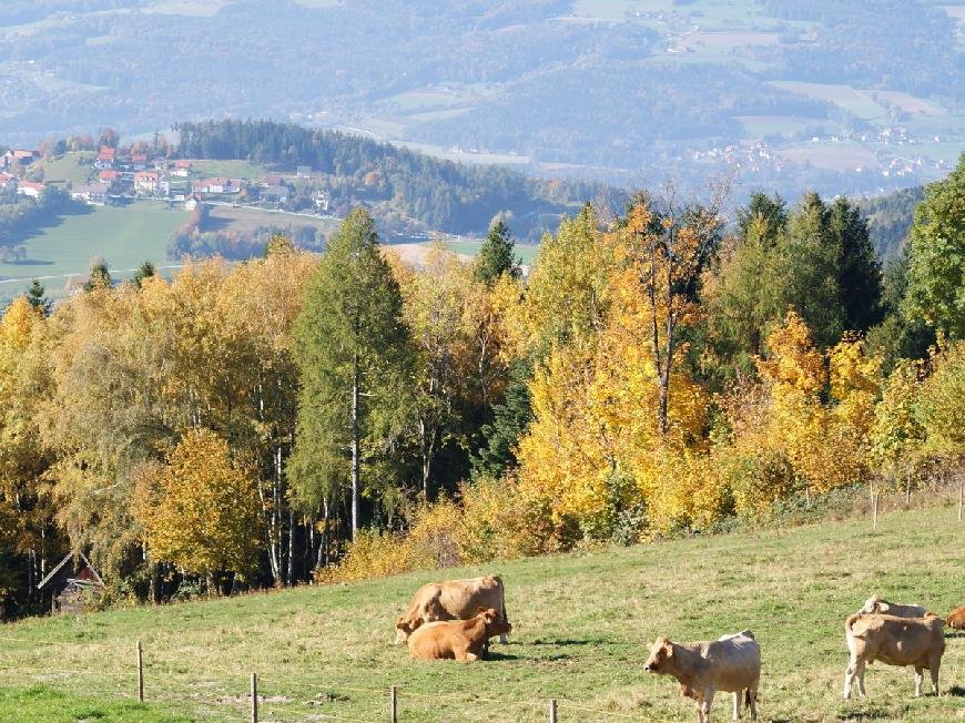 Ferienwohnung  Pöllauberg in der Steiermark