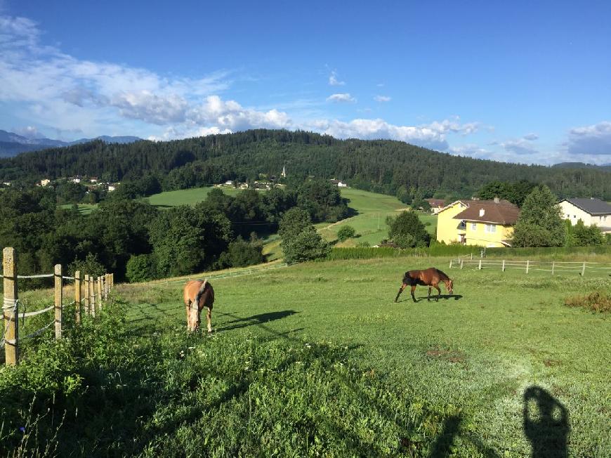 Ferienwohnung 2 auf dem Rösslgut