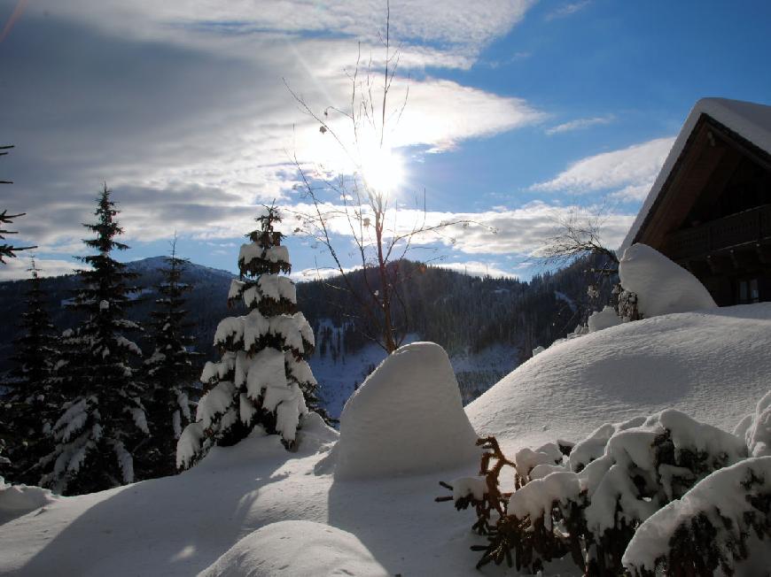 Skihütte Almhütte Weber