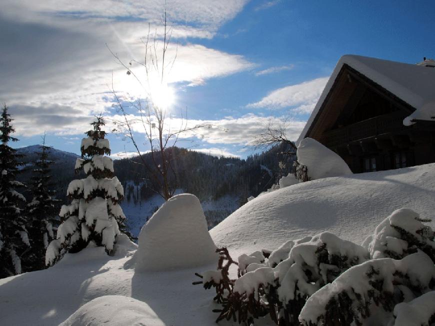 Skihütte Almhütte Weber