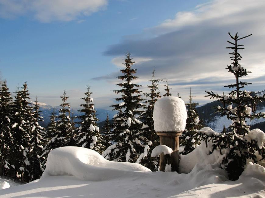 Skihütte Almhütte Weber