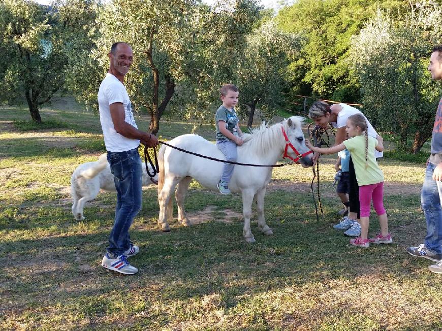 Ferienwohnung im echtem toskanischen Stil