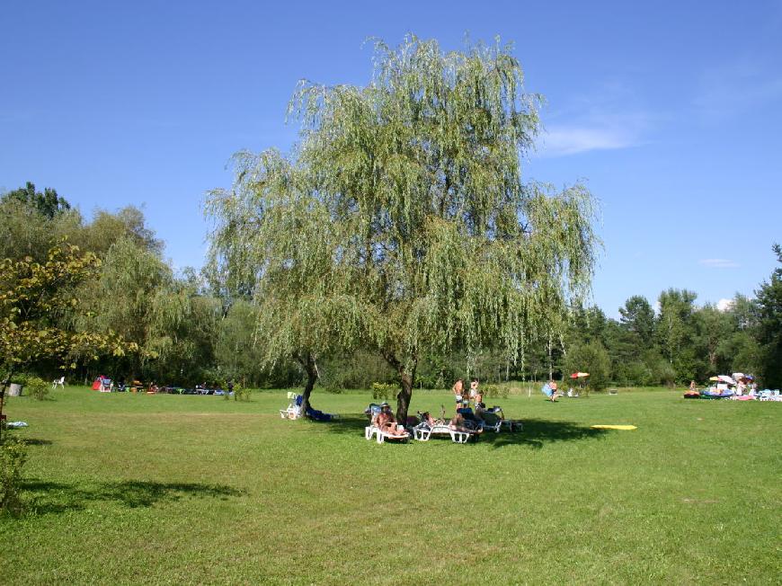 Apartment Klopeinersee-Turnersee Haus ,,Eckwirt,,