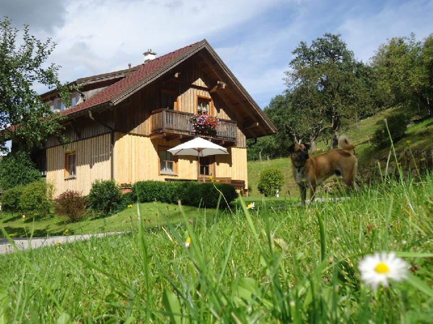 Ferienhaus "Schmiedbauer Hütt'n"