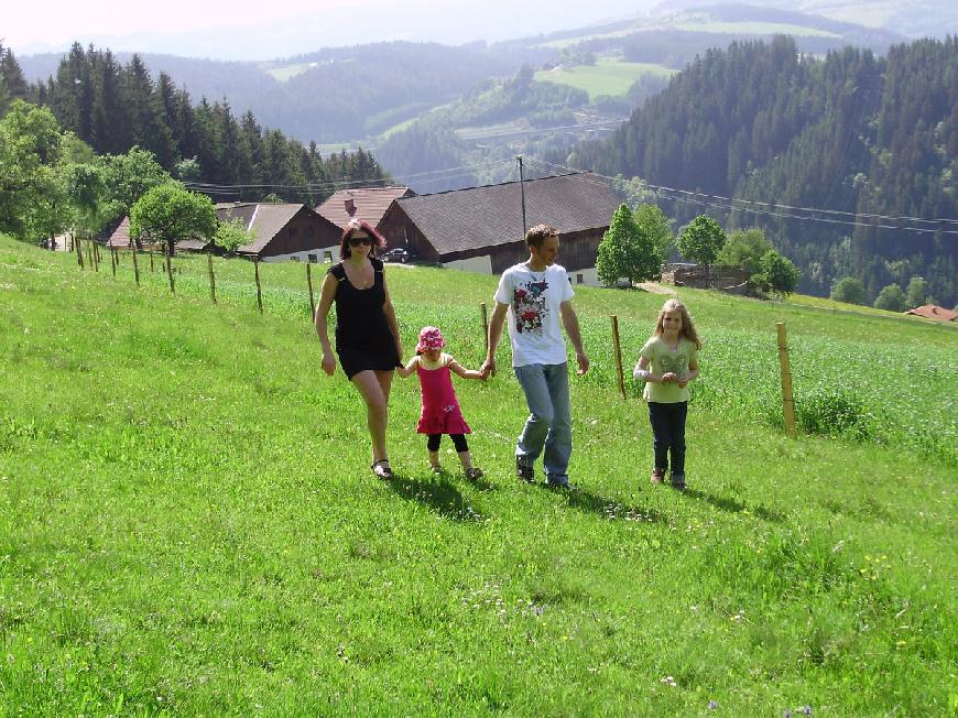 Ferienhaus "Schmiedbauer Hütt'n"