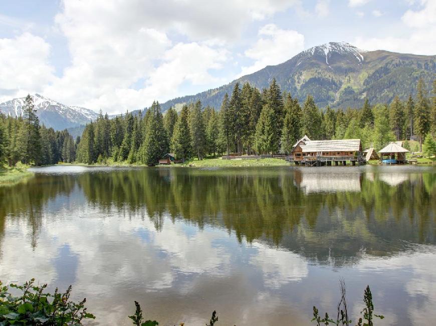 Ferienhaus Schanzer-Hütte in Hohentauern