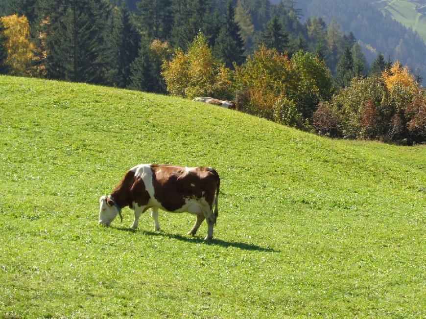 Chalet Astenstadl Zillertal