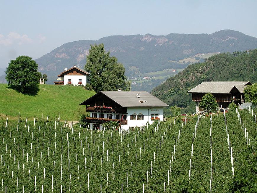 Ferienwohnung Apfel auf dem Biolandhof Hanig