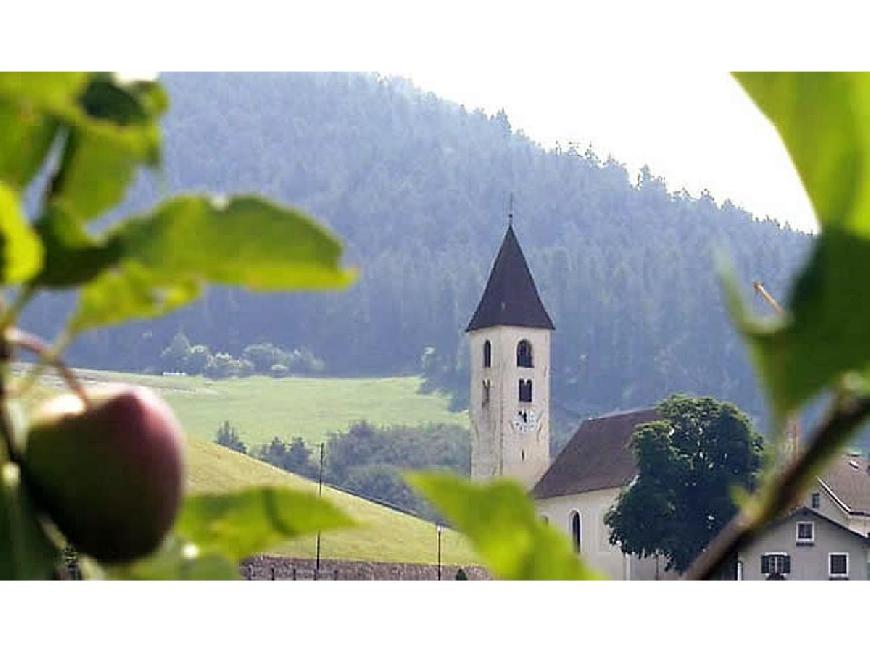 Ferienwohnung Apfel auf dem Biolandhof Hanig