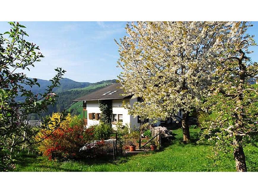 Ferienwohnung Apfel auf dem Biolandhof Hanig