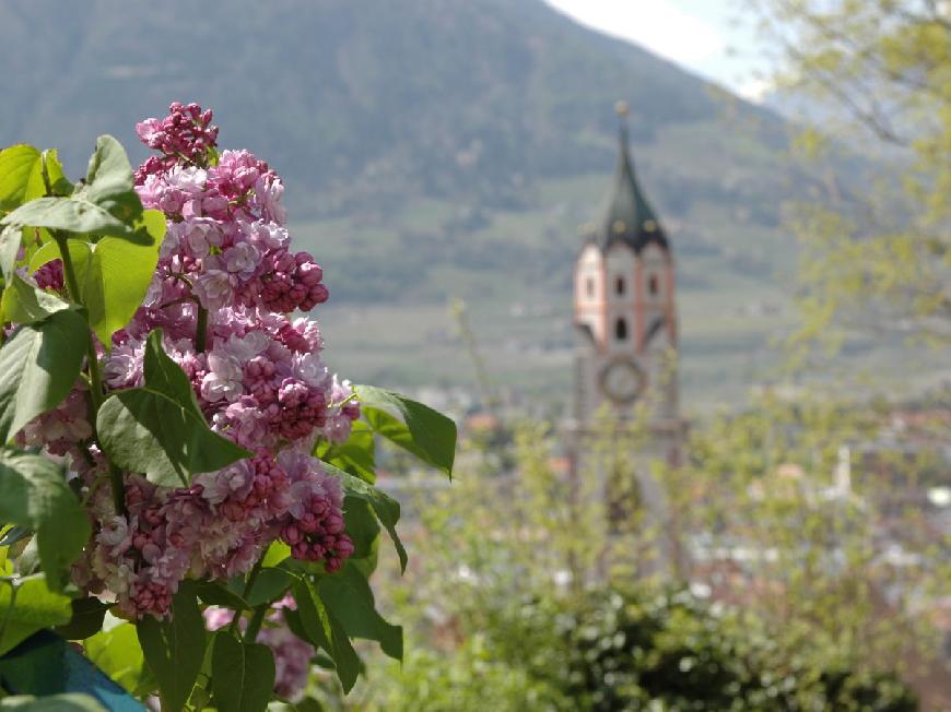 Ferienwohnung Mittager- Appartment Edelweiss