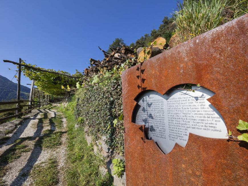 Ferienwohnung Golden und Stark im Meraner Land