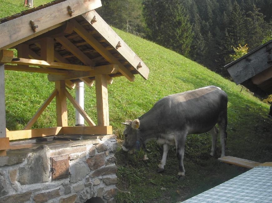 Ferienwohnung Maria am Gogerer Hof