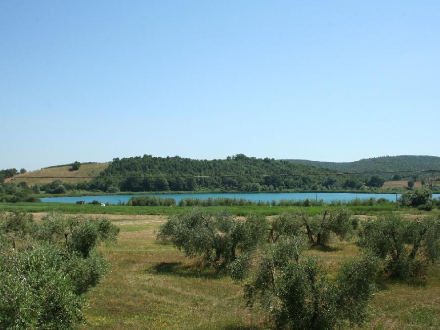 Bauernhof La Concordia in Massa Marittima