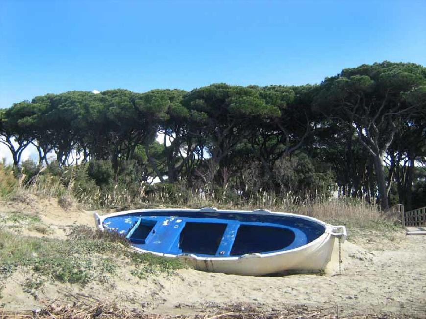 Ferienhaus Casa Scarlino in der Maremma