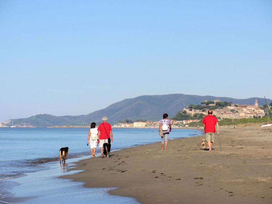 Ferienhaus Casa Scarlino in der Maremma