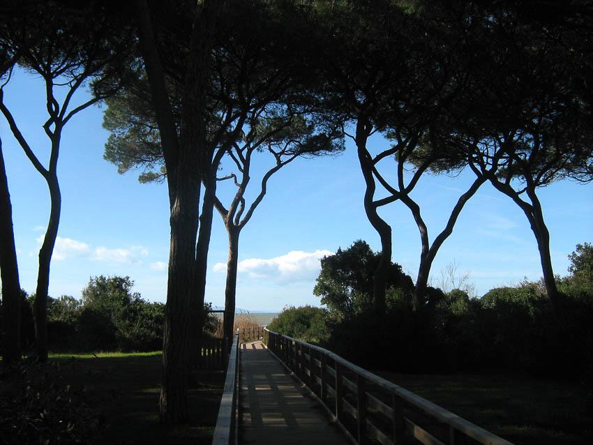 Ferienhaus Casa Scarlino in der Maremma