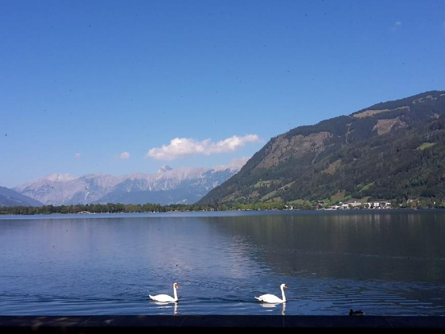 Ferienwohnung 4 Haus Wilhelmina in Zell am See