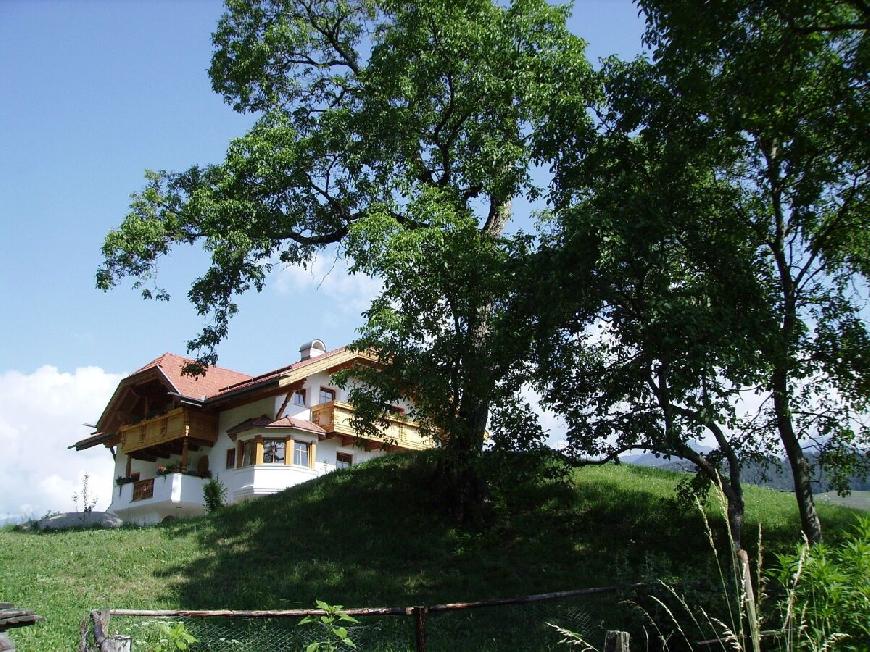 Oberplunerhof - Ferienwohnung Bruneck