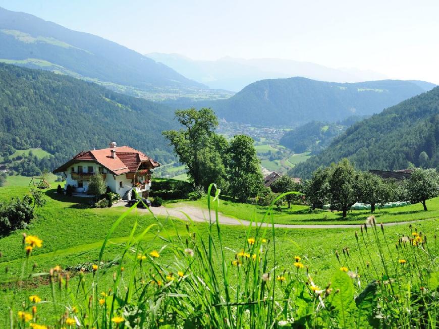 Oberplunerhof - Ferienwohnung Gitschberg