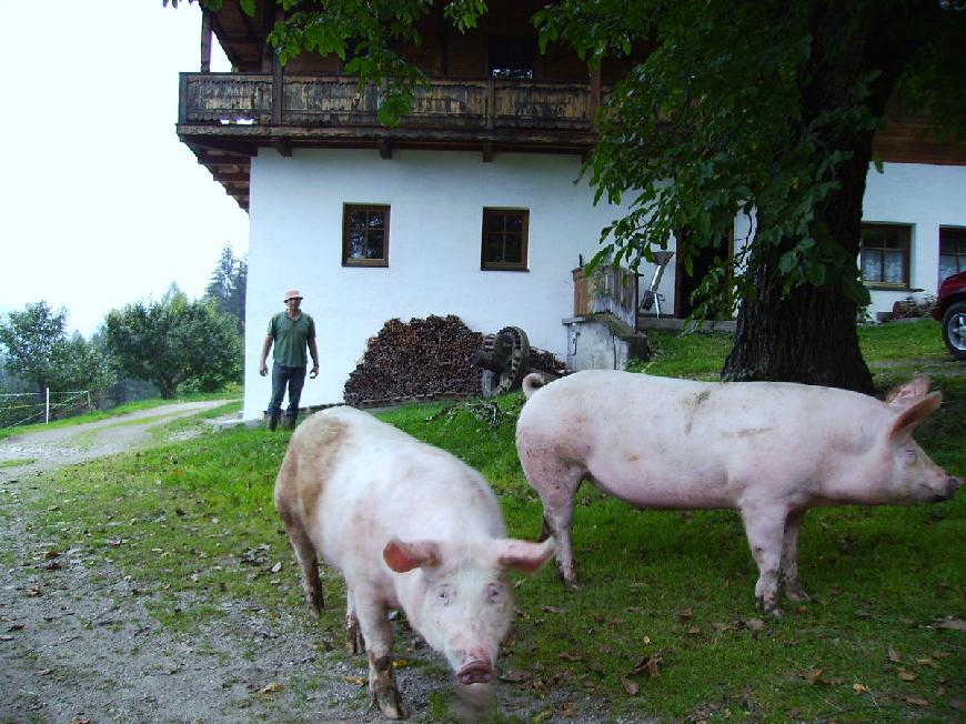 Oberplunerhof - Ferienwohnung Kronplatz